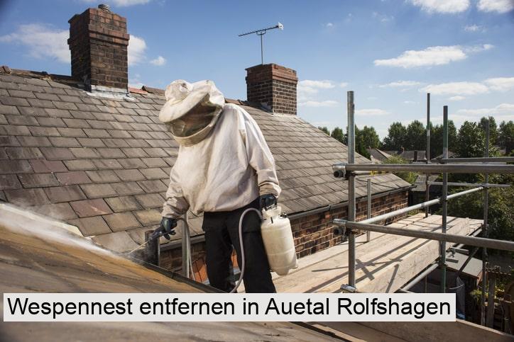 Wespennest entfernen in Auetal Rolfshagen